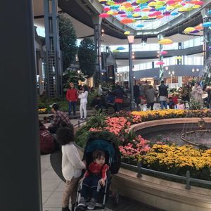 Meet your Posher, Guenn